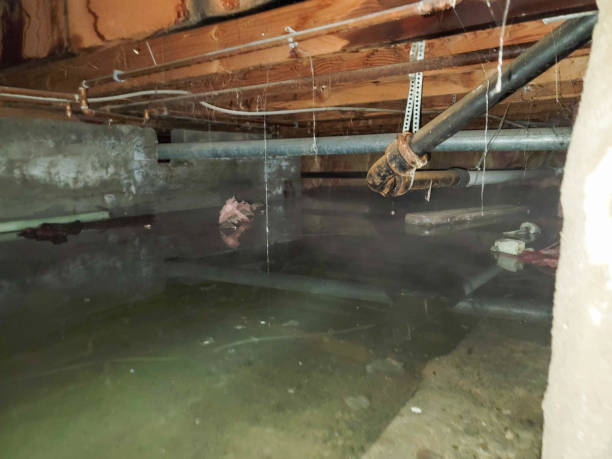 Water damage restoration experts in NE