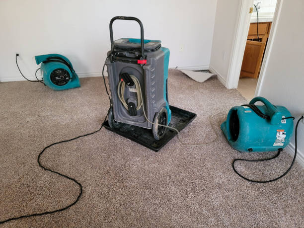 Best Fire Damage Restoration  in Scottsbluff, NE
