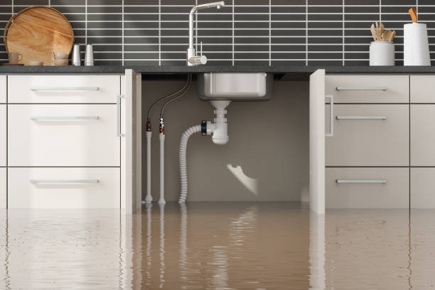 Best Sewage cleanup and water damage restoration  in Scottsbluff, NE